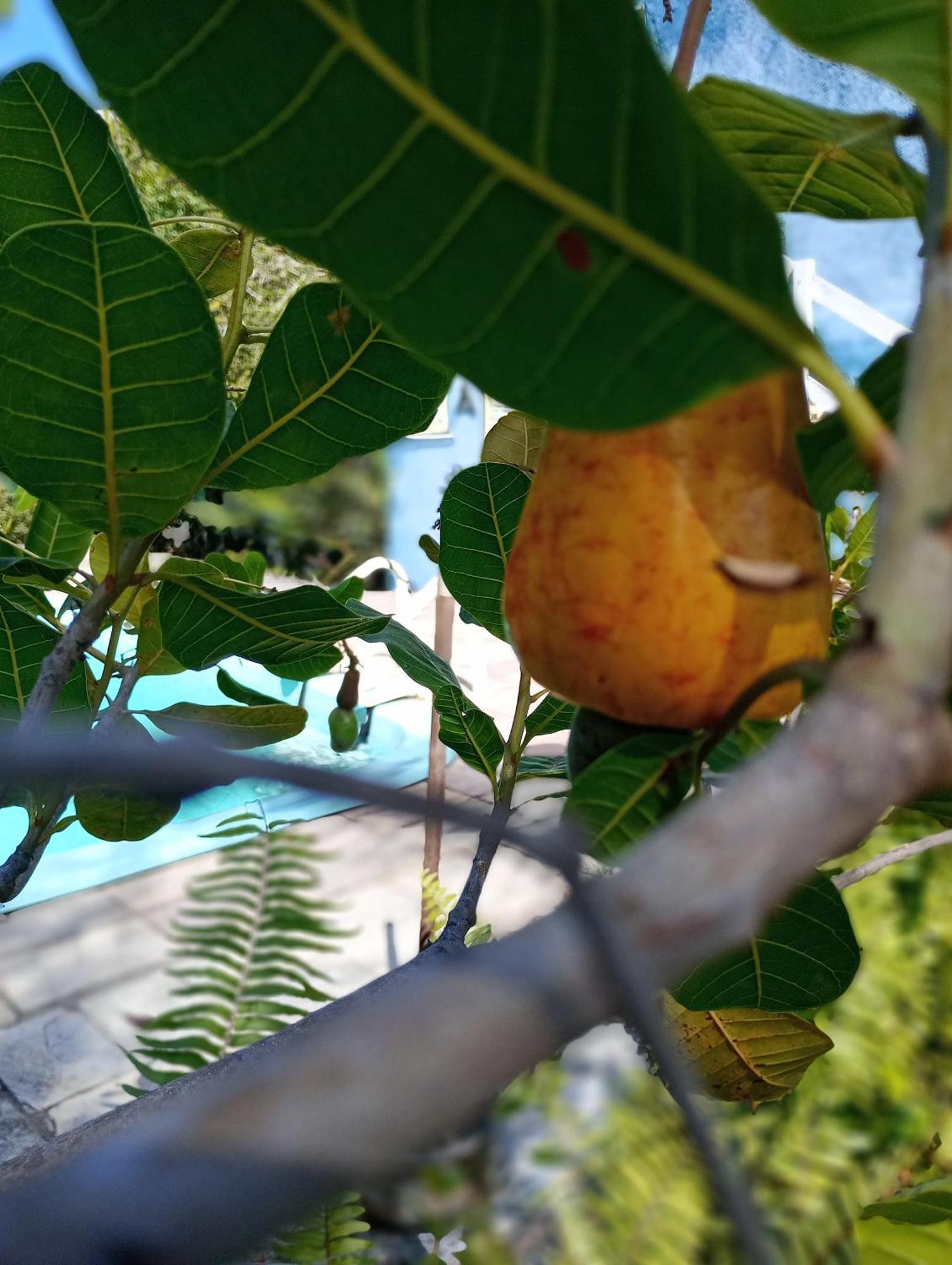 Chalés Caiçara Serrambi Pôrto das Galinhas Esterno foto